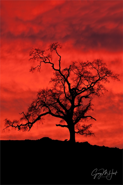 Gary Hart Photography: Sky on Fire, Sierra Foothills, California