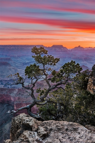 Gary Hart Photography: Grand Morning, Yavapai Point, Grand Canyon