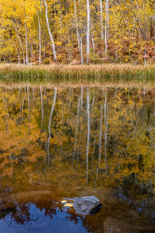 Gary Hart Photography: Aspen Autumn Reflection, Bishop Creek Canyon, Eastern Sierra