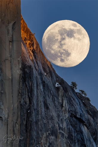 Gary Hart Photography: Big Moon, El Capitan, Yosemite