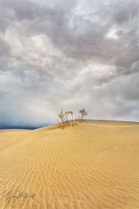 Gary Hart Photography: Incoming Storm, Mesquite Flat Dunes, Death Valley
