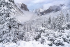 Gary Hart Photography: Snowfall, Tunnel View, Yosemite