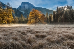 Gary Hart Photography: Autumn Glow, Cook's Meadow Sunstar, Yosemite