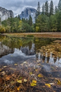 Gary Hart Photography: Autumn Leaves and Reflection, Half Dome, Yosemite