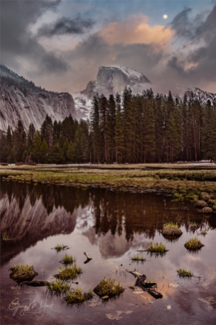 Gary Hart Photography: Lunar Reflection, Half Dome and Cook's Meadow, Yosemite