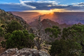 Gary Hart Photography: Beams of Gold, Desert View, Grand Canyon