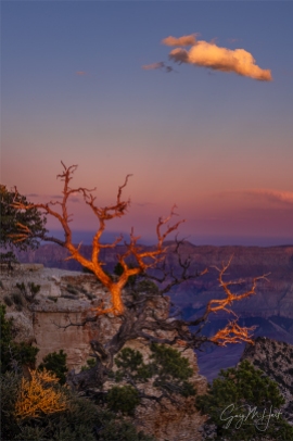 Gary Hart Photography: Day's End, Cape Royal, Grand Canyon
