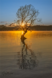 Gary Hart Photography: Sunstar and Reflection, Lake Wanaka, New Zealand