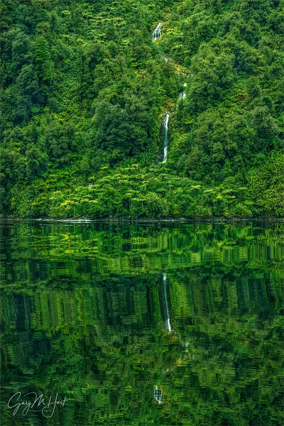 Gary Hart Photography: Lush Reflection, Doubtful Sound, New Zealand