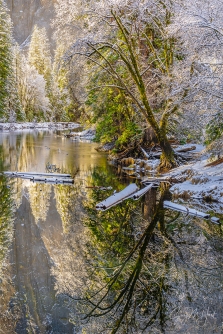 Gary Hart Photography: Frosted, Cathedral Rocks from El Capitan Bridge, Yosemite